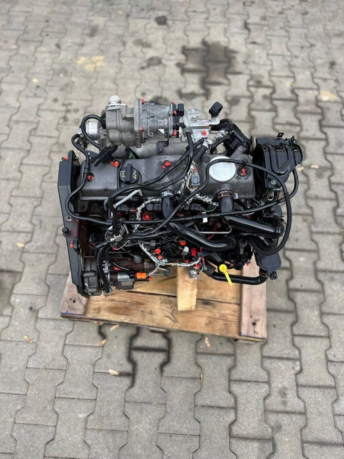 Vorschau von Angebotsbild