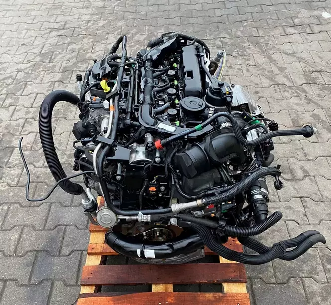 Preview of offer image