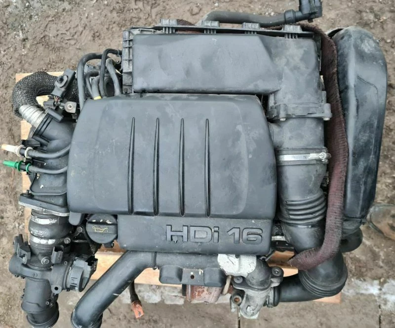 Preview of offer image